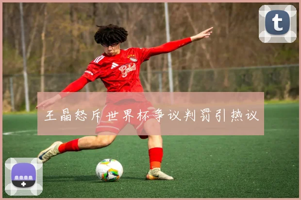 王晶怒斥世界杯争议判罚引热议