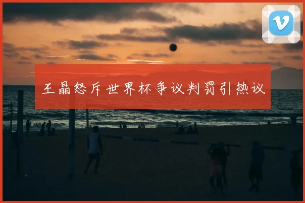王晶怒斥世界杯争议判罚引热议