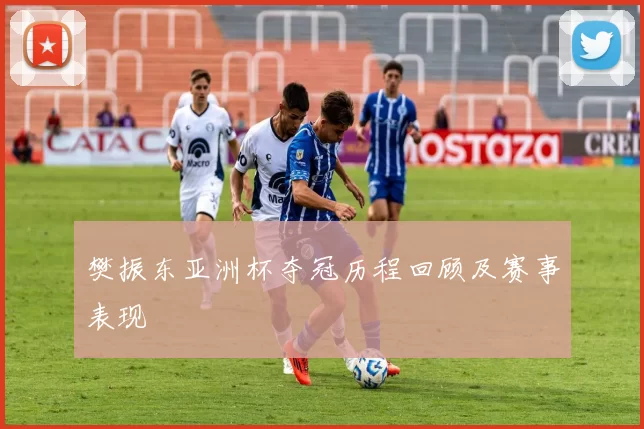 樊振东亚洲杯夺冠历程回顾及赛事表现