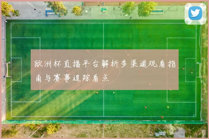 欧洲杯直播平台解析多渠道观看指南与赛事追踪看点