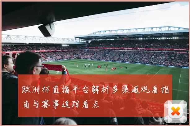 欧洲杯直播平台解析多渠道观看指南与赛事追踪看点