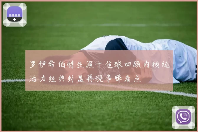 罗伊希伯特生涯十佳球回顾内线统治力经典封盖再现争锋看点
