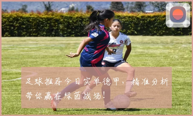 足球推荐今日实单德甲，精准分析带你赢在绿茵战场！